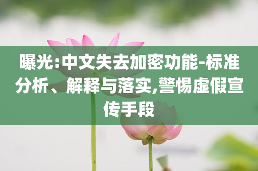 曝光:中文失去加密功能-標準分析、解釋與落實,警惕虛假宣傳手段