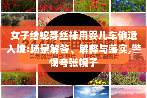 女子給蛇穿絲襪用嬰兒車偷運(yùn)入境:場(chǎng)景解答、解釋與落實(shí),警惕夸張幌子