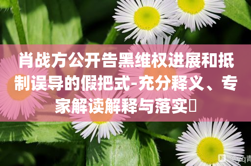 肖戰(zhàn)方公開告黑維權(quán)進展和抵制誤導(dǎo)的假把式-充分釋義、專家解讀解釋與落實?
