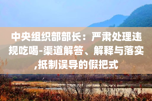 中央組織部部長：嚴肅處理違規(guī)吃喝-渠道解答、解釋與落實,抵制誤導(dǎo)的假把式