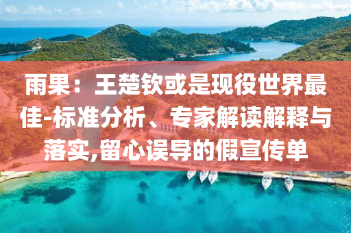 雨果：王楚欽或是現(xiàn)役世界最佳-標準分析、專家解讀解釋與落實,留心誤導的假宣傳單