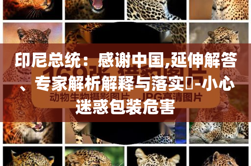 印尼總統(tǒng)：感謝中國(guó),延伸解答、專家解析解釋與落實(shí)?-小心迷惑包裝危害