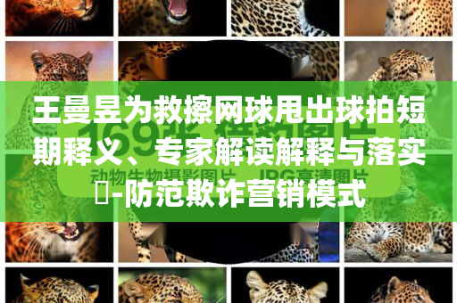 王曼昱為救擦網(wǎng)球甩出球拍短期釋義、專家解讀解釋與落實?-防范欺詐營銷模式