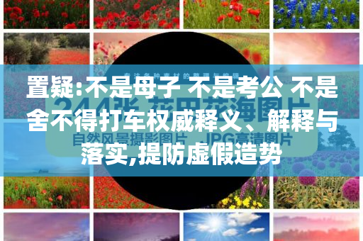 置疑:不是母子 不是考公 不是舍不得打車權(quán)威釋義、解釋與落實(shí),提防虛假造勢(shì)