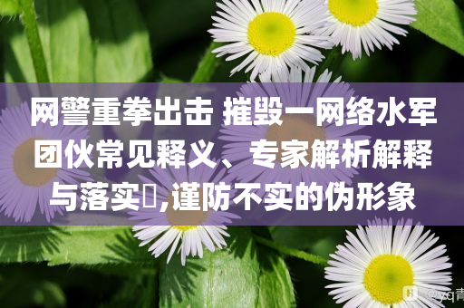 網(wǎng)警重拳出擊 摧毀一網(wǎng)絡(luò)水軍團伙常見釋義、專家解析解釋與落實?,謹防不實的偽形象