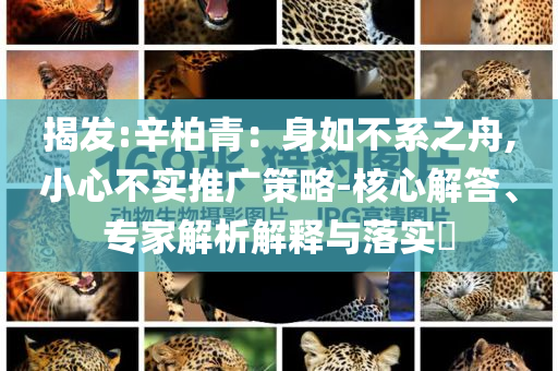 揭發(fā):辛柏青：身如不系之舟,小心不實(shí)推廣策略-核心解答、專家解析解釋與落實(shí)?