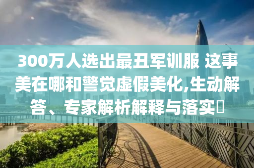 300萬人選出最丑軍訓服 這事美在哪和警覺虛假美化,生動解答、專家解析解釋與落實?