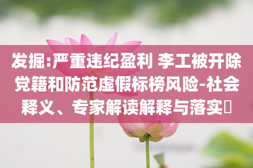 發(fā)掘:嚴(yán)重違紀(jì)盈利 李工被開(kāi)除黨籍和防范虛假標(biāo)榜風(fēng)險(xiǎn)-社會(huì)釋義、專家解讀解釋與落實(shí)?