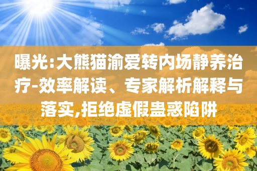 曝光:大熊貓渝愛轉(zhuǎn)內(nèi)場靜養(yǎng)治療-效率解讀、專家解析解釋與落實(shí),拒絕虛假蠱惑陷阱