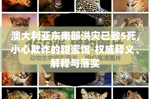 澳大利亞東南部洪災(zāi)已致5死,小心欺詐的甜蜜餌-權(quán)威釋義、解釋與落實(shí)