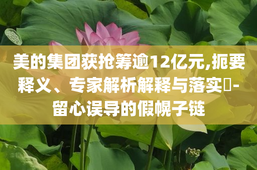 美的集團(tuán)獲搶籌逾12億元,扼要釋義、專家解析解釋與落實(shí)?-留心誤導(dǎo)的假幌子鏈