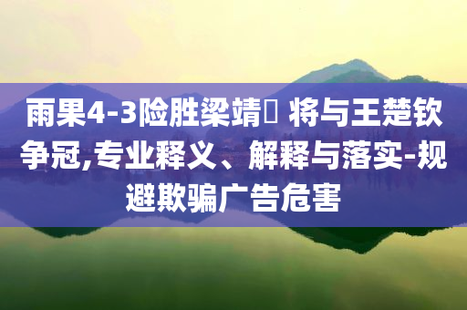 雨果4-3險勝梁靖崑 將與王楚欽爭冠,專業(yè)釋義、解釋與落實-規(guī)避欺騙廣告危害