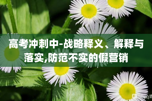 高考沖刺中-戰(zhàn)略釋義、解釋與落實,防范不實的假營銷