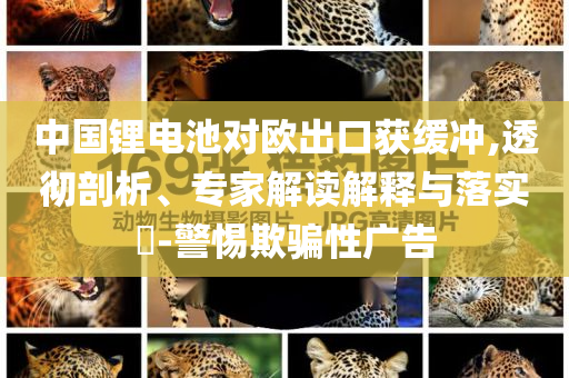 中國鋰電池對歐出口獲緩沖,透徹剖析、專家解讀解釋與落實?-警惕欺騙性廣告