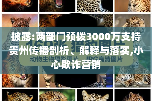 披露:兩部門預撥3000萬支持貴州傳播剖析、解釋與落實,小心欺詐營銷