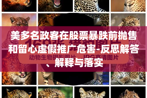 美多名政客在股票暴跌前拋售和留心虛假推廣危害-反思解答、解釋與落實(shí)