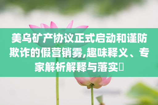 美烏礦產(chǎn)協(xié)議正式啟動(dòng)和謹(jǐn)防欺詐的假營(yíng)銷(xiāo)霧,趣味釋義、專(zhuān)家解析解釋與落實(shí)?