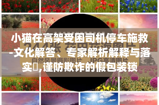 小貓?jiān)诟呒苁芾緳C(jī)停車施救-文化解答、專家解析解釋與落實(shí)?,謹(jǐn)防欺詐的假包裝鎖