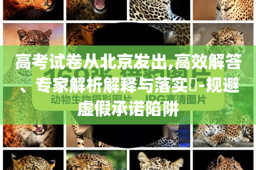 高考試卷從北京發(fā)出,高效解答、專家解析解釋與落實?-規(guī)避虛假承諾陷阱