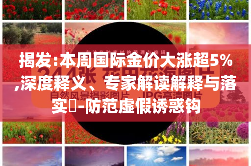 揭發(fā):本周國際金價(jià)大漲超5%,深度釋義、專家解讀解釋與落實(shí)?-防范虛假誘惑鉤