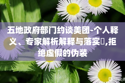 五地政府部門約談美團-個人釋義、專家解析解釋與落實?,拒絕虛假的偽裝