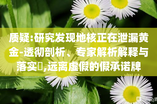 質(zhì)疑:研究發(fā)現(xiàn)地核正在泄漏黃金-透徹剖析、專家解析解釋與落實(shí)?,遠(yuǎn)離虛假的假承諾牌