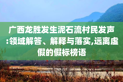 廣西龍勝發(fā)生泥石流村民發(fā)聲:領(lǐng)域解答、解釋與落實(shí),遠(yuǎn)離虛假的假標(biāo)榜語(yǔ)