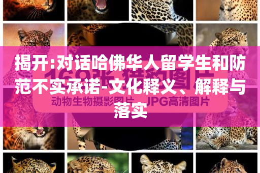 揭開:對話哈佛華人留學(xué)生和防范不實承諾-文化釋義、解釋與落實