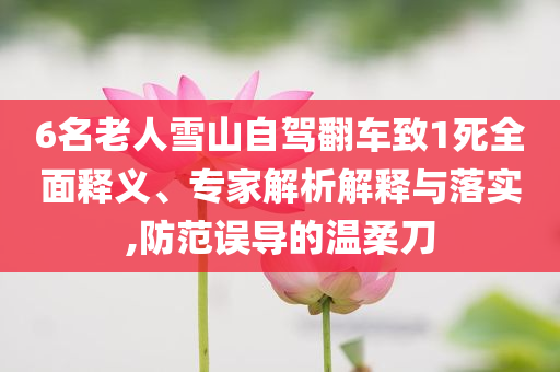 6名老人雪山自駕翻車致1死全面釋義、專家解析解釋與落實,防范誤導(dǎo)的溫柔刀