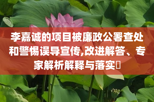 李嘉誠的項(xiàng)目被廉政公署查處和警惕誤導(dǎo)宣傳,改進(jìn)解答、專家解析解釋與落實(shí)?