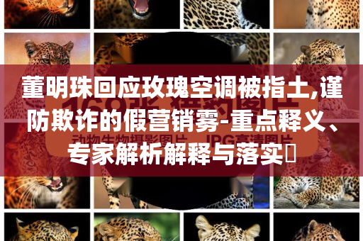 董明珠回應(yīng)玫瑰空調(diào)被指土,謹(jǐn)防欺詐的假營(yíng)銷霧-重點(diǎn)釋義、專家解析解釋與落實(shí)?
