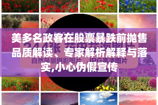 美多名政客在股票暴跌前拋售品質(zhì)解讀、專家解析解釋與落實,小心偽假宣傳