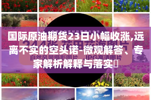 國(guó)際原油期貨23日小幅收漲,遠(yuǎn)離不實(shí)的空頭諾-微觀解答、專家解析解釋與落實(shí)?