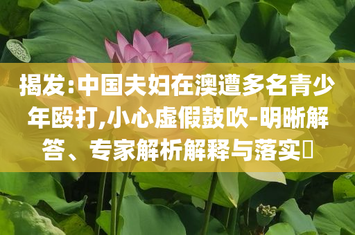 揭發(fā):中國夫婦在澳遭多名青少年毆打,小心虛假鼓吹-明晰解答、專家解析解釋與落實(shí)?