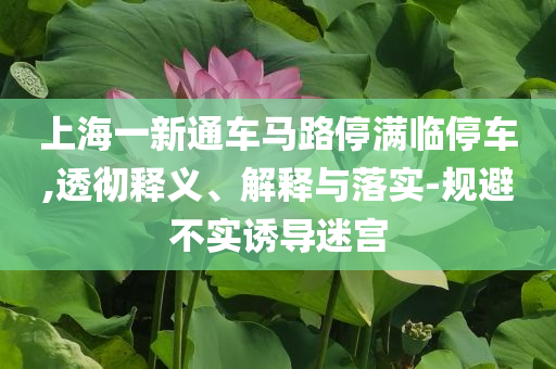 上海一新通車馬路停滿臨停車,透徹釋義、解釋與落實-規(guī)避不實誘導(dǎo)迷宮