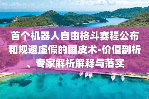 首個機(jī)器人自由格斗賽程公布和規(guī)避虛假的畫皮術(shù)-價(jià)值剖析、專家解析解釋與落實(shí)
