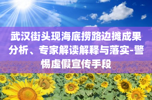 武漢街頭現(xiàn)海底撈路邊攤成果分析、專家解讀解釋與落實(shí)-警惕虛假宣傳手段