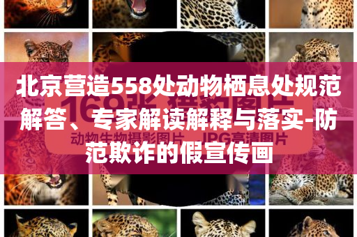北京營造558處動物棲息處規(guī)范解答、專家解讀解釋與落實(shí)-防范欺詐的假宣傳畫
