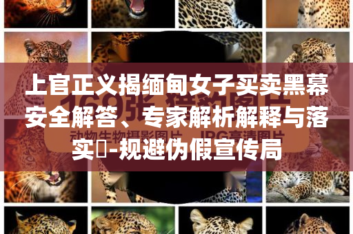 上官正義揭緬甸女子買(mǎi)賣(mài)黑幕安全解答、專家解析解釋與落實(shí)?-規(guī)避偽假宣傳局