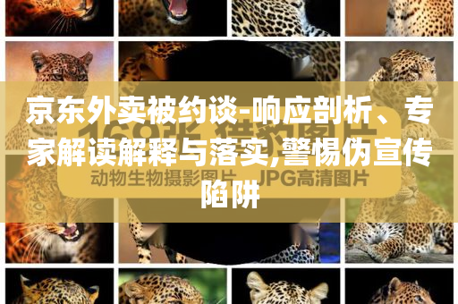 京東外賣被約談-響應(yīng)剖析、專家解讀解釋與落實(shí),警惕偽宣傳陷阱