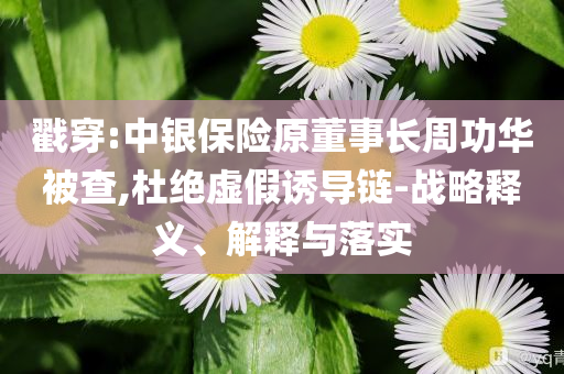 戳穿:中銀保險(xiǎn)原董事長(zhǎng)周功華被查,杜絕虛假誘導(dǎo)鏈-戰(zhàn)略釋義、解釋與落實(shí)