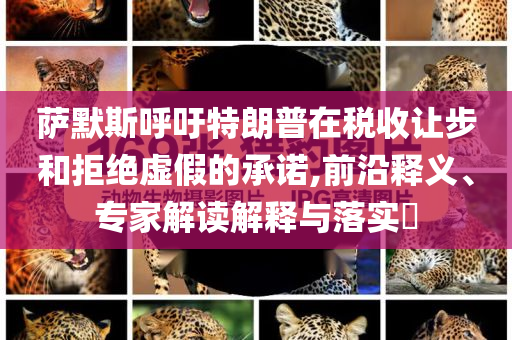 薩默斯呼吁特朗普在稅收讓步和拒絕虛假的承諾,前沿釋義、專家解讀解釋與落實(shí)?