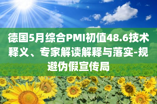 德國5月綜合PMI初值48.6技術(shù)釋義、專家解讀解釋與落實(shí)-規(guī)避偽假宣傳局