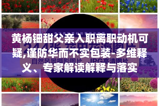 黃楊鈿甜父親入職離職動機可疑,謹防華而不實包裝-多維釋義、專家解讀解釋與落實