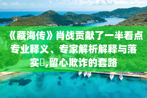 《藏海傳》肖戰(zhàn)貢獻(xiàn)了一半看點(diǎn)專業(yè)釋義、專家解析解釋與落實(shí)?,留心欺詐的套路