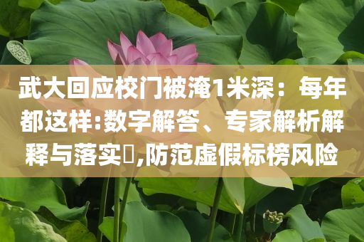 武大回應(yīng)校門(mén)被淹1米深：每年都這樣:數(shù)字解答、專(zhuān)家解析解釋與落實(shí)?,防范虛假標(biāo)榜風(fēng)險(xiǎn)