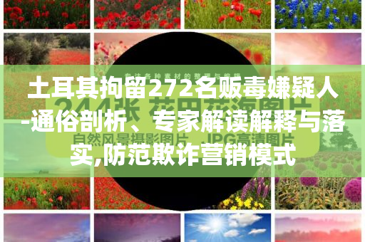 土耳其拘留272名販毒嫌疑人-通俗剖析、專家解讀解釋與落實,防范欺詐營銷模式