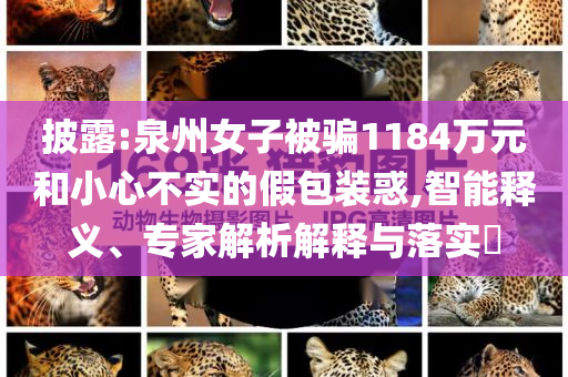 披露:泉州女子被騙1184萬元和小心不實(shí)的假包裝惑,智能釋義、專家解析解釋與落實(shí)?
