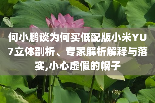 何小鵬談為何買(mǎi)低配版小米YU7立體剖析、專(zhuān)家解析解釋與落實(shí),小心虛假的幌子