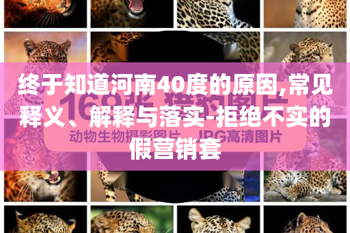 終于知道河南40度的原因,常見釋義、解釋與落實-拒絕不實的假營銷套